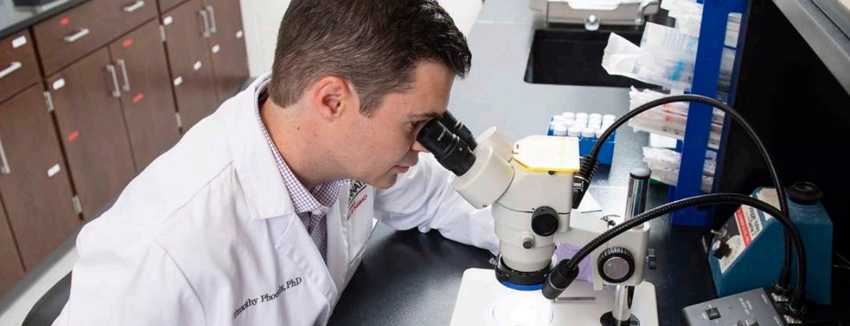 researcher looking into a microscope in a laboratory
